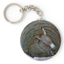 Donkeywell keychain