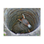 Donkeywell postcard