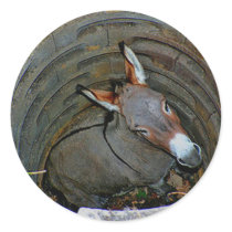 Donkeywell sticker