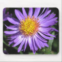 Donna mousepads