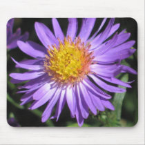 Donna mousepads