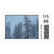 Donner pass  postage