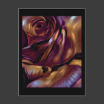 Donnybrook Rose Abstract Art Post Cards
