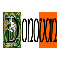 Donovan Celtic Dragon Print