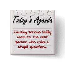 Don't Ask Stupid Questions Pinback Buttons