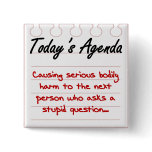 Don't Ask Stupid Questions Pinback Buttons