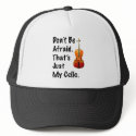 Don't Be Afraid That's Just My Cello