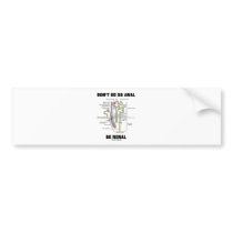 Don't Be So Anal Be Renal (Kidney Nephron) Bumper Sticker