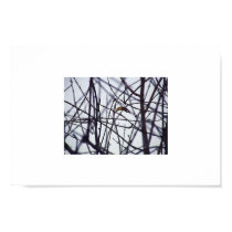 dont belong here posters by capttoenail dont belong here posters