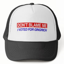 Don't Blame Me Mesh Hats
