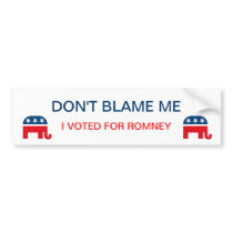 Don't blame me I voted for Romney bumper sticker