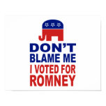 Don't Blame Me I Voted For Romney Print