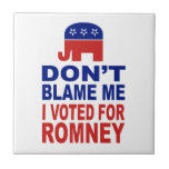Don't Blame Me I Voted For Romney Tile