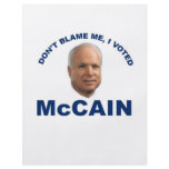 Don't Blame Me I Voted McCain Custom Flyer