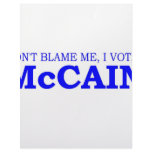 Don't Blame Me I Voted McCain Letterhead Design