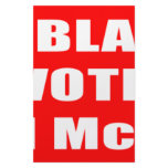 Don't Blame Me I Voted McCain Stationery Design