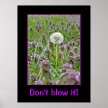 Funny Weed Posters