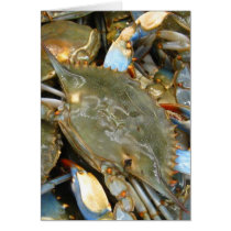 Don't Bother Me...I'm Crabby! Card