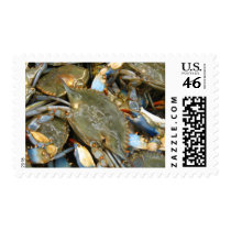 Don't Bother Me...I'm Crabby! Postage