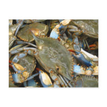 Don't Bother Me...I'm Crabby! postcards