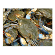 Don't Bother Me...I'm Crabby! Postcard