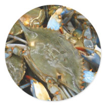 Don't Bother Me...I'm Crabby! stickers by bluehawaii218 Don't Bother Me...I'm Crabby! stickers