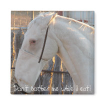 Don't Bother Me magnets by Killlashandra Don't Bother Me magnets