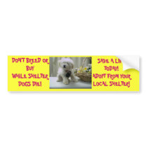 DON'T BREED OR BUY! ADOPT bumper stickers