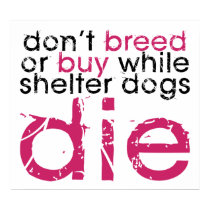 Don't Breed Or Buy posters