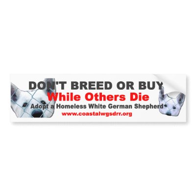 Don't breed or buy while others die bumper stickers by coastalwgs