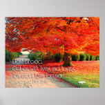 Dont Brood with Life Poster