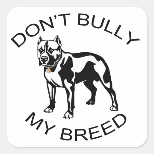 Don't bully this person image