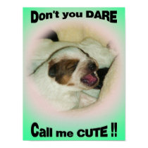 Dont call me cute posters by wildhorse59 Dont call me cute posters