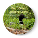 Don't DisturbNesting Loons! buttons