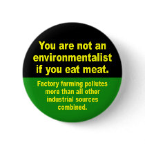 don't eat meat buttons by WanderingWomyn don't eat meat buttons
