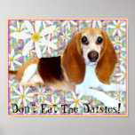 Don't Eat the Daisies posters