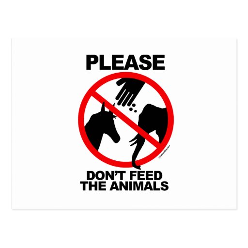 Don't Feed the Animals Postcards