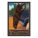 Don't Feed The Bears - Yellowstone National Park posters