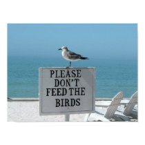 Don't Feed the Birds posters
