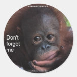 Don't Forget Me (Primate Baby) Round Sticker