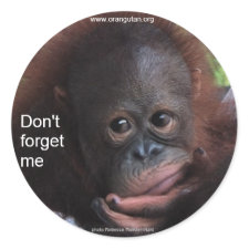 Don't Forget Me (Primate Baby) sticker