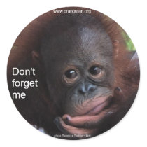 Don't Forget Me (Primate Baby) Round Sticker