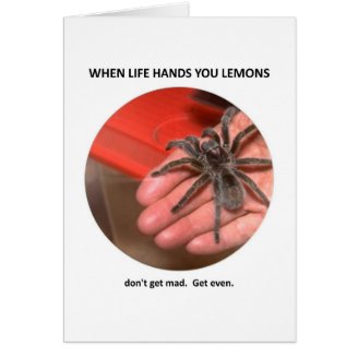 dont-get-mad-get-even card
