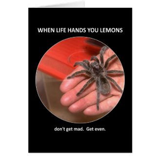 dont-get-mad-get-even cards