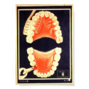 Don't Get Mouthy posters