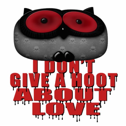 dont give a hoot bout love owl photo cutout