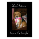Don't hate me, because I'm beautiful cards by lioneyes Don't hate me, because I'm beautiful cards