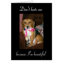 Don't hate me, because I'm beautiful cards