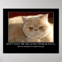 Don't Hate Me...Cat Artwork Funny posters