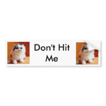 Don't Hit Me bumper stickers